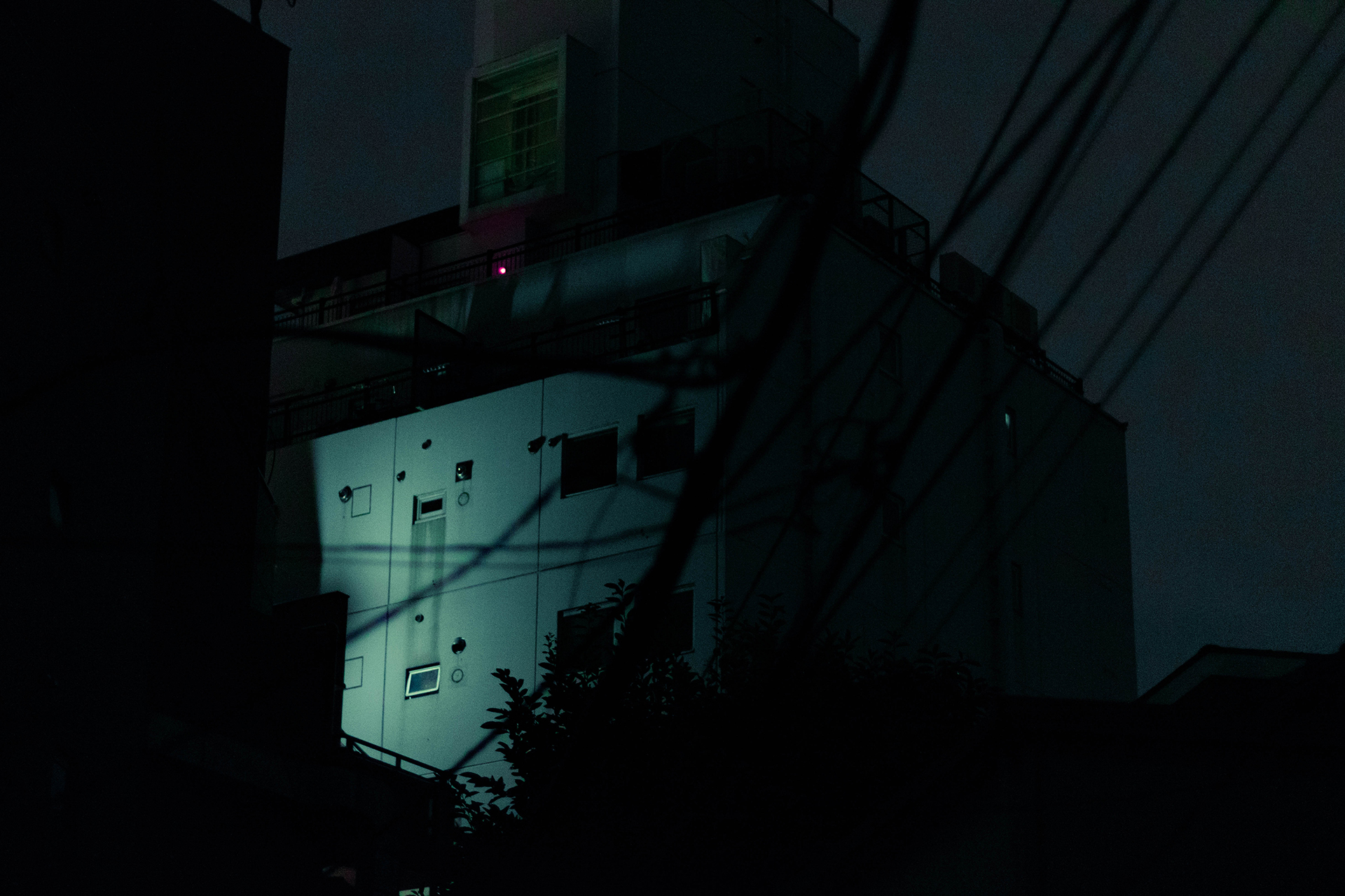 Dimly lit modern building facade with many wires and some trees covering the view in the foreground.